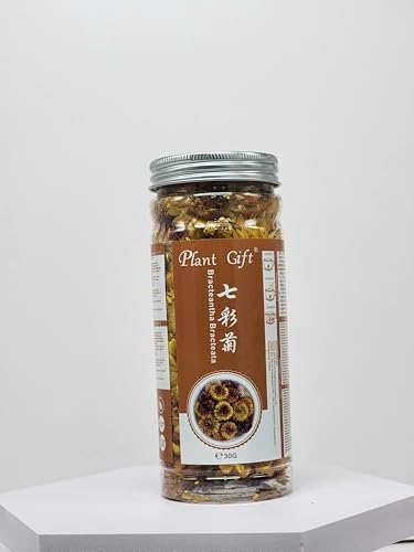 100% Bracteantha Bracteata Flower 30G/1.05oz Fresh, Non GMO Loose Leaf , Natural Dried Flowers Herbs for Soap Making, Syrup, Drinks, Baking, DIY Beauty, Sachets & Fresh Fragrance Rainbow Chrysanthemum