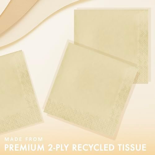 Creative Converting Touch of Color 2-Ply 50 Count Paper Lunch Napkins, Ivory