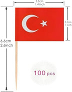 100 Pcs Turkey Toothpick Flag Turkish Cocktail Picks Mini Stick Cupcake Toppers Country Picks Party Decoration Celebration Cocktail Food Bar Cake Flags
