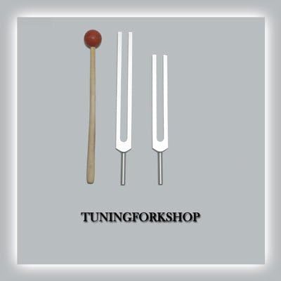 TFS Tuningforkshop C & G Whole body Tuning fork set with mallet+Pouch