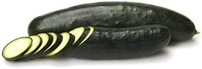 Cucumber