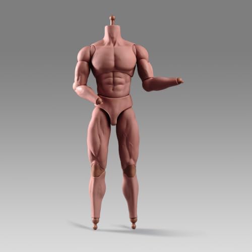 1:6 Scale Male Action Figure 12 Inch Flexible Muscle Male Figure Body Doll Miniature Figure Without Head Sculpt