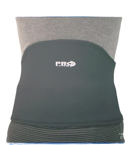 Proline Back Support - Black - Free Size