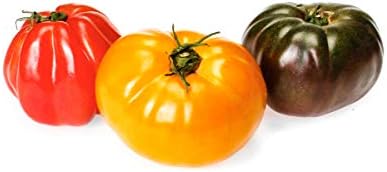 Heirloom Tomato