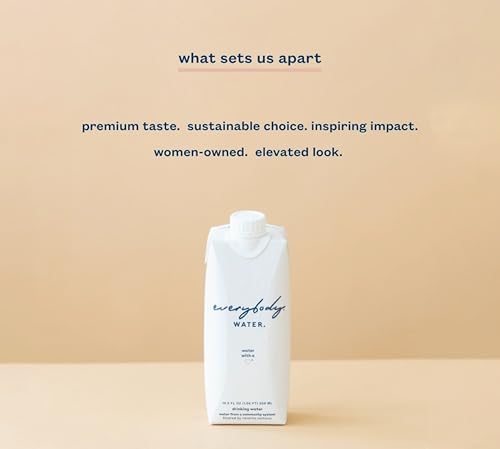 Everybody Water, Boxed Water, Premium Filtered Still Waters, 12 Pack Reverse Osmosis, Bulk Eco-Friendly, BPA Free, Fully Recyclable Plant Based Carton - Certified Woman Owned 16.9 Fl Oz / 500ml Carton (Pack of 12)