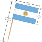 CYPS 100 Pcs Argentina Flag Argentine Toothpick Flags, Small Mini Stick Cupcake Toppers Argentine Flags,Country Picks Party Decoration Celebration Cocktail Food Bar Cake Flags