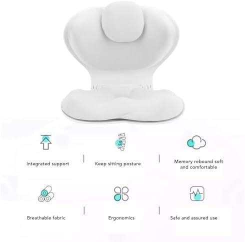 Marhynchus Ergonomic Foldable Lumbar Back Support Seat Cushion for Office Chairs Study Office Work Family Gatherings (Light Gray)
