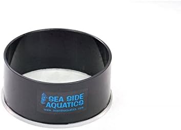 Seaside Aquatics Look Down Box 6"