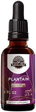 HerbEra Earth's Love - Plantain Alcohol-Free Herbal Extract Tincture, Super-Concentrated Plantain (Plantago Major) Dried Leaf (2 Fl Oz)