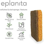 eplanita Natural Plant Based Scrub Sponges (12 Pack), Non-Scratch, Biodegradable Eco Scourers for Kitchen and Bathroom