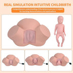 Birth Midwifery Training Model Simulator, Life Size Childbirth Demonstration Obstetrics Gynecology Normal Abnormal Fetal Positions Delivery Maternity Manikin for Teaching Medical