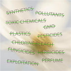 Oi | Organic Initiative - 100% Certified Organic Cotton Non-Applicator Tampons | Ultra-Absorbent, Unscented, Natural, Non-Toxic, Applicator Free | Super Plus | 56 Tampons