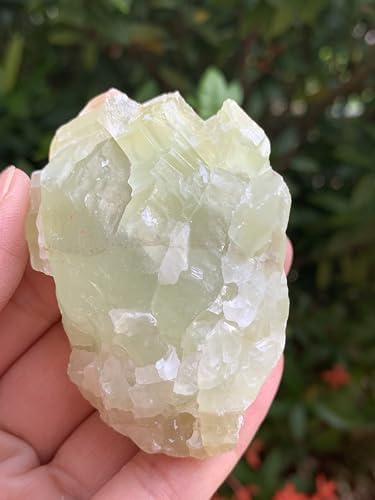 GAF TREASURES Huge Green Calcite Rough Natural Stones, Raw Calcite Green Crystals (0.25-0.5 Pounds)