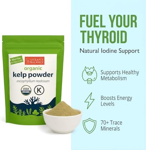 Ocean’s Balance Clean – Wildcrafted Kelp Powder (Ascophyllum nodosum) from the Gulf of Maine | Rich in Iodine & 70+ Minerals | Supports Metabolism, Skin, & Immunity | 16 oz