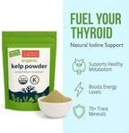 Ocean’s Balance Clean – Wildcrafted Kelp Powder (Ascophyllum nodosum) from the Gulf of Maine | Rich in Iodine & 70+ Minerals | Supports Metabolism, Skin, & Immunity | 16 oz