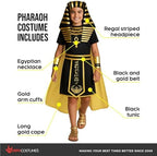 Morph Egyptian Costume Kids, Pharaoh Costume Kids, Egyptian Costumes For Boys, World Book Day Costumes For Boys