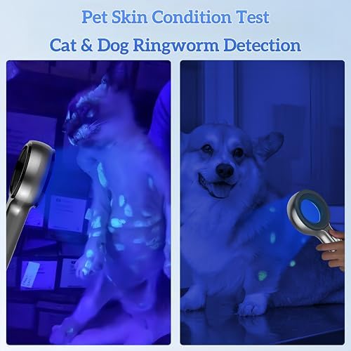 Woods Lamp Skin Analyzer, Easy to Hold and Carry Around, Woods Lamp Cat Ringworm, Detect All Kinds of Skin Conditions, No Special Training Required (2000 mAh Rechargeable Battery)