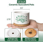 T4U Thank You for Helping Me Grow, 1 Pack Thank You for Helping Me Grow Gift for Teacher, Mini Succulent Pots for Plant Lovers,Thanksgiving Teacher Gift, Small Cactus (3.5 Inch)