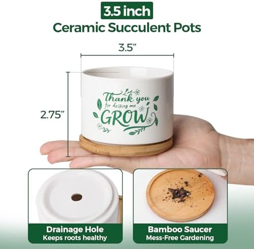 T4U Thank You for Helping Me Grow, 1 Pack Thank You for Helping Me Grow Gift for Teacher, Mini Succulent Pots for Plant Lovers,Thanksgiving Teacher Gift, Small Cactus (3.5 Inch)