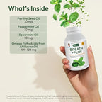 ANDREW LESSMAN Breath Plus 60 Softgels - Natural Breath Freshener, Helps Eliminate Odors from Food, Smoking, Morning Breath from The Inside Out. Peppermint, Spearmint. Easy to Swallow Softgels