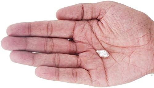 Samyuktha 925 Pure Silver Single Piece Nariyal (Coconut) for Pooja and Gift Purpose