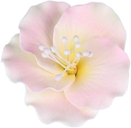O'Creme Gumpaste White-&-Pink Azalea Flower Set of 6-2 Inch - Edible Flowers for Cake Decorating - Sugar Paste Flower Decorations for Cakes, Cupcake Toppers - Birthday Party, Wedding, Valentines Day