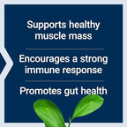 Life Extension L-Glutamine Powder, Amino Acid, Supports Muscle Health and Immune Health, Gluten-Free, Non-GMO, Vegetarian, 100 Grams