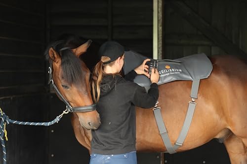 equilibrium Massage Pad - (Standard)