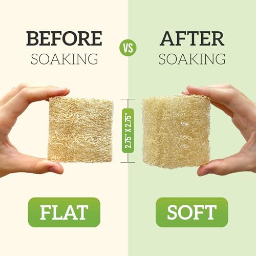 Natural Loofah Dish Sponge (Pack 30) Multipurpose Dish Sponges - 100% Biodegradable Compostable Dishwashing Scouring Pad Zero Waste (2.75" x 2.75" Each)
