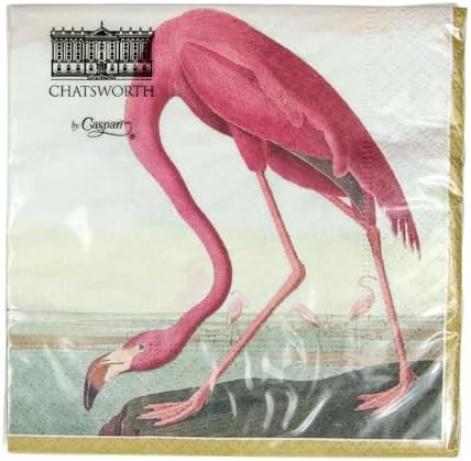 Caspari Audubon Birds Paper Cocktail Napkins, 20 Per Package