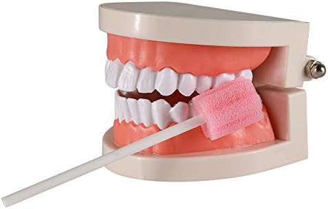 (50 Pack) Disposable Oral Swabs, Sterile Dental Sponge Unflavored for Mouth & Gum Cleaning