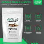 Edible Insects Big Black Crickets to Eat – Edible Bugs Edible Dehydrated Crickets - Snack Food Gifts (15g)