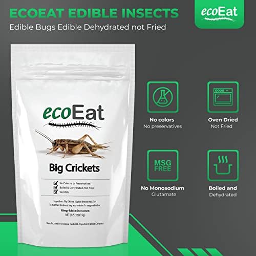 Edible Insects Big Black Crickets to Eat – Edible Bugs Edible Dehydrated Crickets - Snack Food Gifts (15g)
