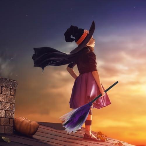 HANABASS Witch Broom for Halloween Plastic Props Boys and Girls Witch Costume Accessory Mesh Design Broomstick