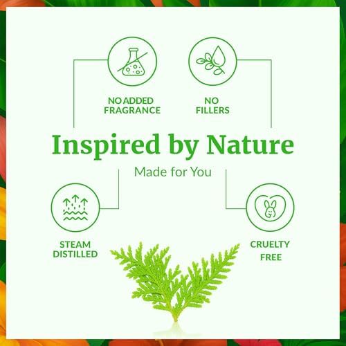 SVA Thuja Essential Oil – 1 Fl Oz – 100% Natural Thuja Oil - for Diffuser, Hair Care, Face, Skin Care, Aromatherapy, Scalp and Body Massage, Soap and Candle Making - with Dropper