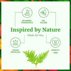 SVA Thuja Essential Oil – 1 Fl Oz – 100% Natural Thuja Oil - for Diffuser, Hair Care, Face, Skin Care, Aromatherapy, Scalp and Body Massage, Soap and Candle Making - with Dropper