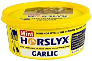 Horslyx Mini Lick Garlic - 650g