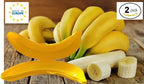 Banana Keeper On The Go Outdoor Travel Case BPA-Free Fruit Protector Portable Banana Holder Cute Carrier Storage Box 2 Pack Yellow (Banana Keeper)