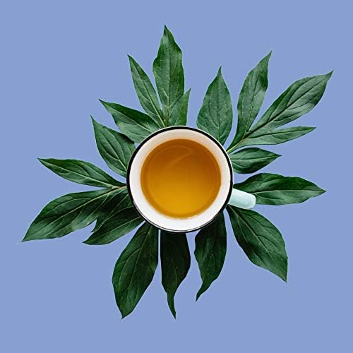 Ambrosia White Tea, Pai Mu Tan Loose Leaf - Low Caffeine, Antioxidant Rich, Hot & Iced | bulk 8oz, 80-100 cups | The Spice Hut, First Sip of Tea