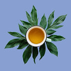 Ambrosia White Tea, Pai Mu Tan Loose Leaf - Low Caffeine, Antioxidant Rich, Hot & Iced | bulk 8oz, 80-100 cups | The Spice Hut, First Sip of Tea