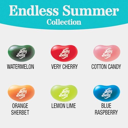 Jelly Belly Endless Summer Assorted Jelly Beans - 1 Pound (16 Ounces) Resealable Bag - Genuine, Official, Straight from the Source