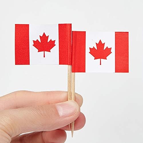 JAVD CYPS 100 Pcs Canada Flag Canadian Toothpick Flags, Small Mini Stick Cupcake Toppers Canadian Flags,Country Picks Party Decoration Celebration Cocktail Food Bar Cake Flags