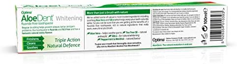 AloeDent Whitening 100 ml Aloe Vera Plus Silica Fluoride-Free Toothpaste - Pack of 3