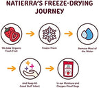 NATIERRA Organic Freeze-Dried Blueberry, Banana & Strawberry | USDA Organic, Non-GMO & Vegan | Variety Pack (of 6)