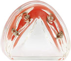 Dental Implant Teeth Demo Model Mandibular Overdenture with 4 Implants