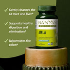 Banyan Botanicals Organic Amla Tablets - Natural Vitamin C for Collagen Support & Immune Health - Amalaki Indian Gooseberry for Glowing Skin, Hair & Healthy Digestion - 90 Tablets - Non-GMO, Vegan*