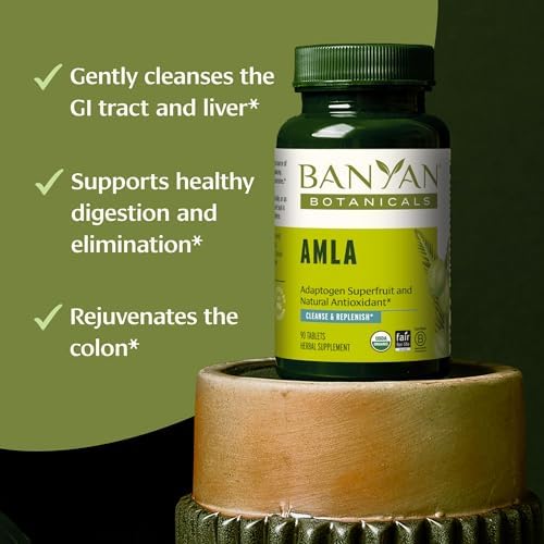 Banyan Botanicals Organic Amla Tablets - Natural Vitamin C for Collagen Support & Immune Health - Amalaki Indian Gooseberry for Glowing Skin, Hair & Healthy Digestion - 90 Tablets - Non-GMO, Vegan*