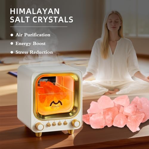 4-in-1 Ultrasonic Essential Oil Diffuser, Himalayan Salt Lamp Diffuser & Bluetooth Music Player,Mini Aromatherapy Diffuser Mist Humidifier with Auto Off Function,100% Pure Himalayan Salt