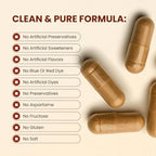 CHOQ Armor - Vegan Capsules - Professional-Grade Immune Defense - 20x Absorption Quercetin Phytosome - Andrographis - Astragalus - Supports Healthy Histamine Levels