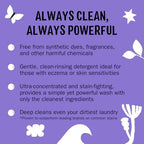 Molly's Suds Original Laundry Detergent Powder | Clean Laundry Detergent Powder for Sensitive Skin | Simple, Effective Ingredients, Stain Fighting | 120 Loads (Lavender)